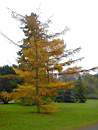Promenad 2003-11-02 010.jpg